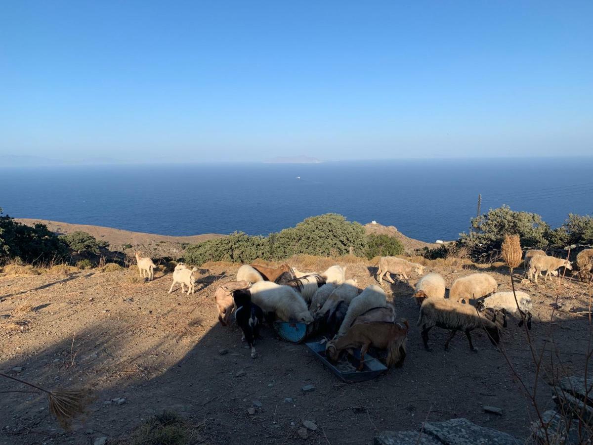 Sunrise Dream Appartement Agia Mavra Buitenkant foto